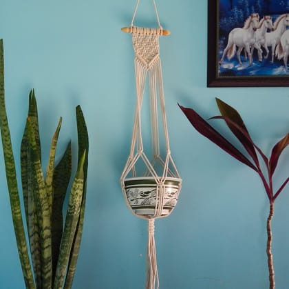 Macrame Plant Hanger