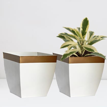 Midland 8” White Tapered Planter