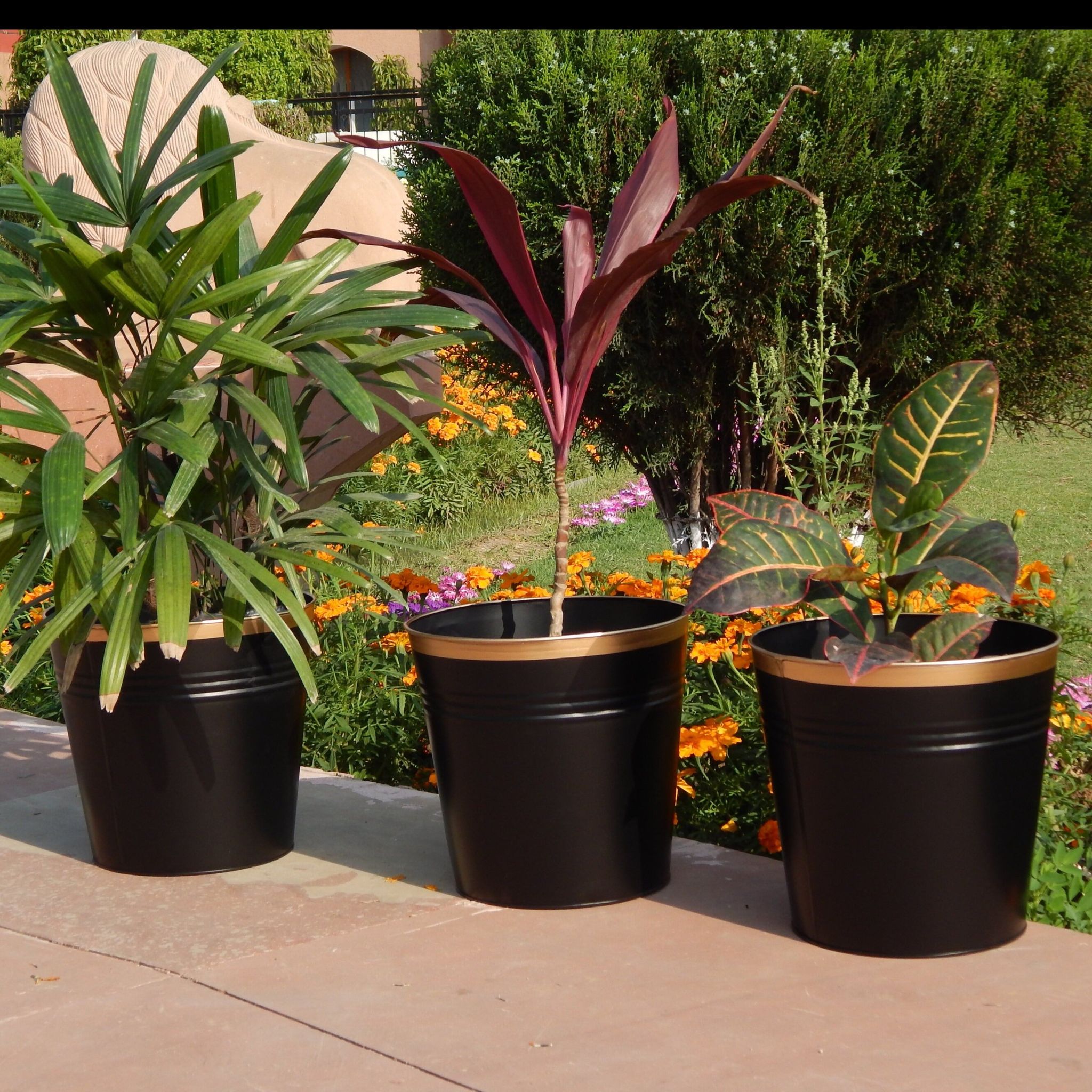 Black Bucket Metal Planter