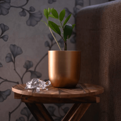 Succulent Gold Metal Plant Pot