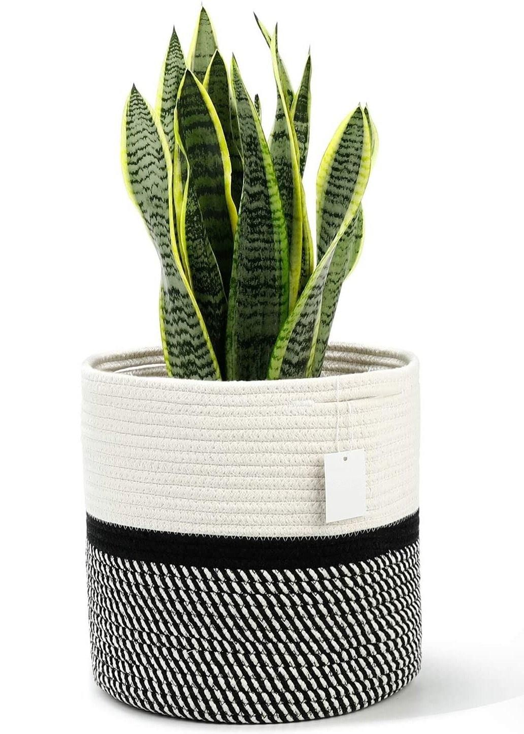 Cotton Rope Plant Basket