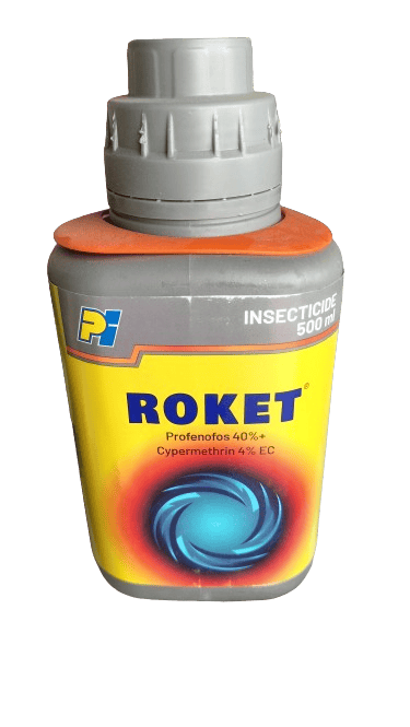 Roket