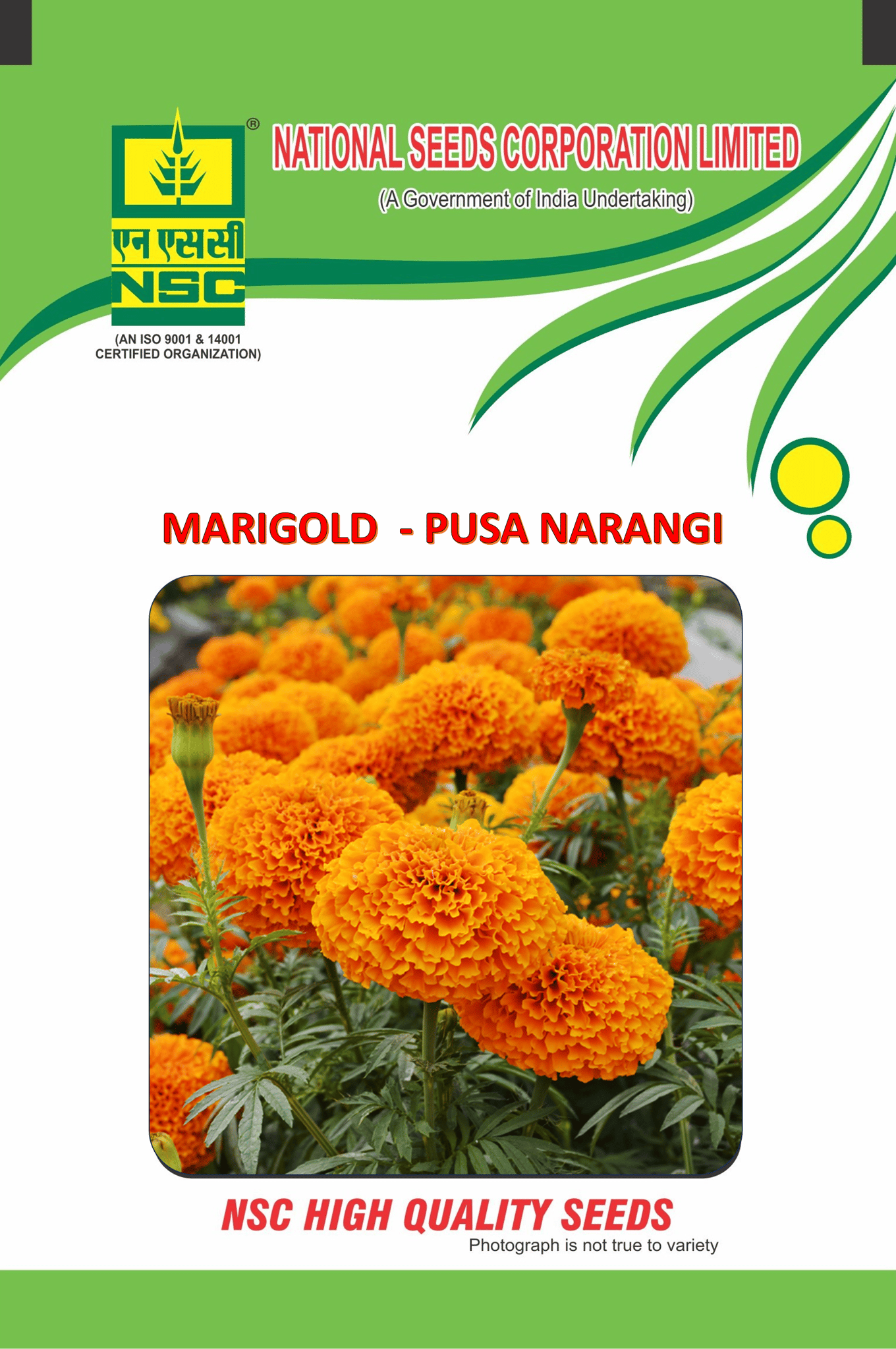 NSC Orange Marigold Seed, Variety: Pusa Narangi , 10 gm