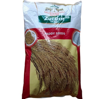 Zordar - NP 9311 - Paddy Seeds