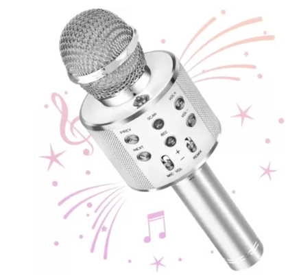 Dark to Bright WIRELESS KIDS SINGING MICROPHONE WITH INBUILT BLUETOOTH SPEAKER  (Silver)