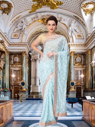 ENTELLUS | Sequin & Multi Embroidery Saree