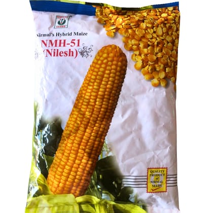 Hybrid Maize Seeds