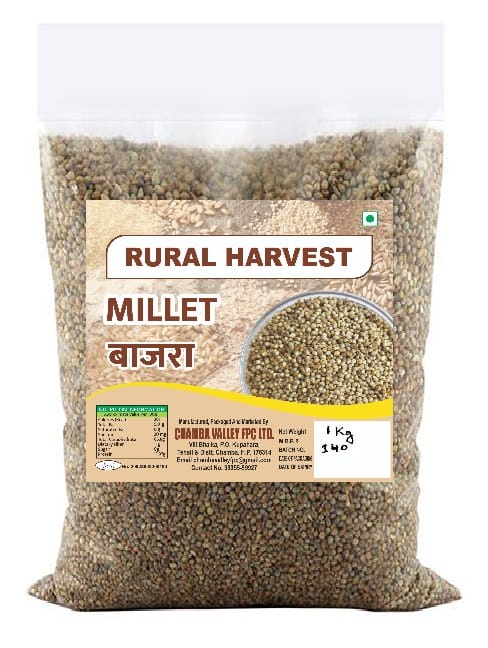 Bajra (Pearl Millet)