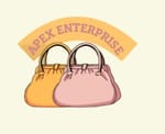 APEX ENTERPRISES