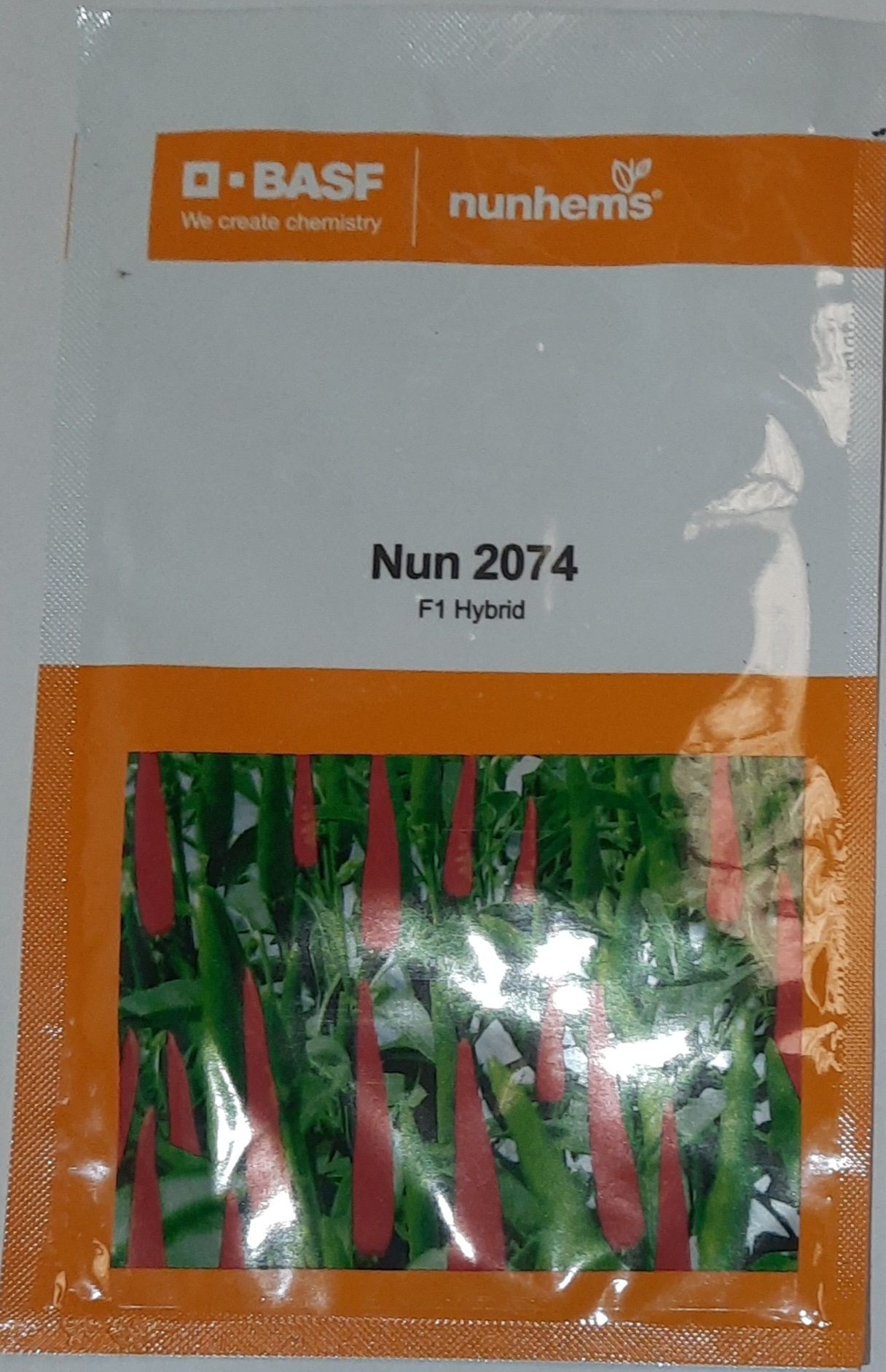 Hybrid Hot Pepper seeds