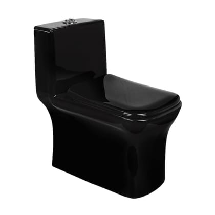 Vardhman Ceramics One Piece Full Black Glossy Finish Western Commode Water Closet Floor Mounted S Trap Outlet on Floor EWC for Toilet Bathroom Washroom Battle Full Black