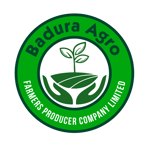 Badura Agro Farmers Producer Company Limited