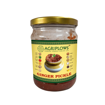 Agriplows Ginger Pickle, 500 g