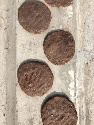 GOKULAM Cow Dung Cakes | Gobar Uple for Hawan, Pujan & Religious Purpose (Pack of 5)