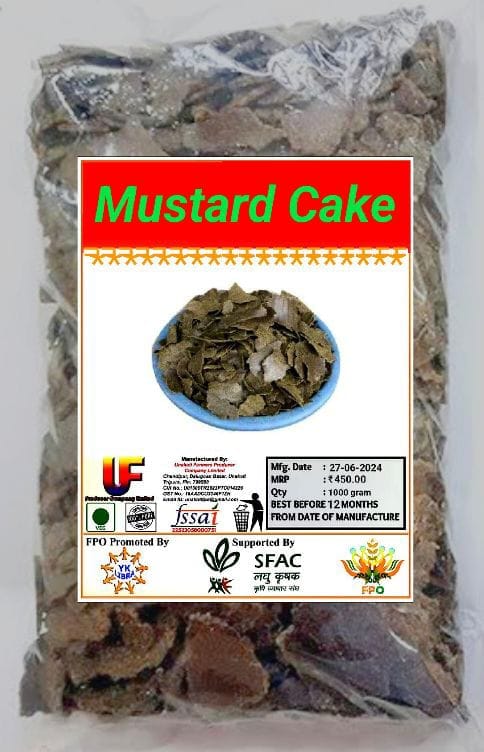 Mustard Cake