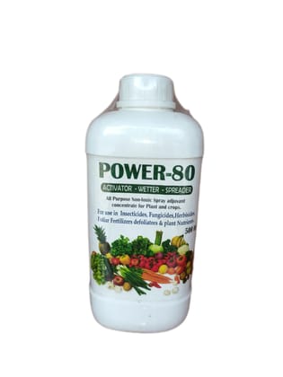 Power80 | 1 Lt