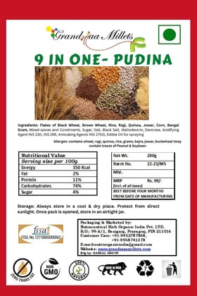 9 IN ONE – PUDINA