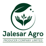 JALESAR AGRO PRODUCER COMPANY LIMITED