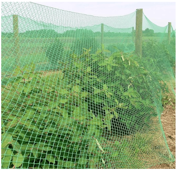 RK Trends Bird Netting | Heavy-Duty Anti-Bird Protection for Garden, Fruit Trees, and Vegetables | Durable (10 x 15)