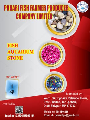 FIsh Aquarium stone