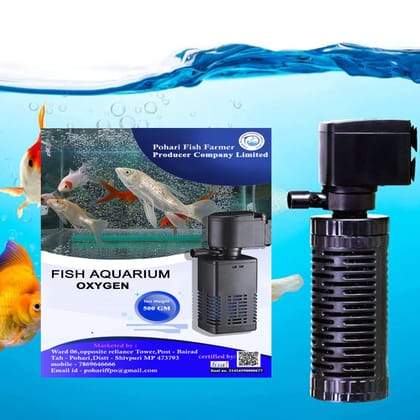 Fish Aquarium Oxygen