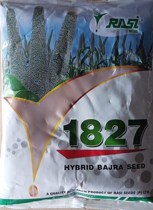 HYBRID BAJRA SEED 1827