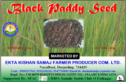 BLACK PADDY SEED