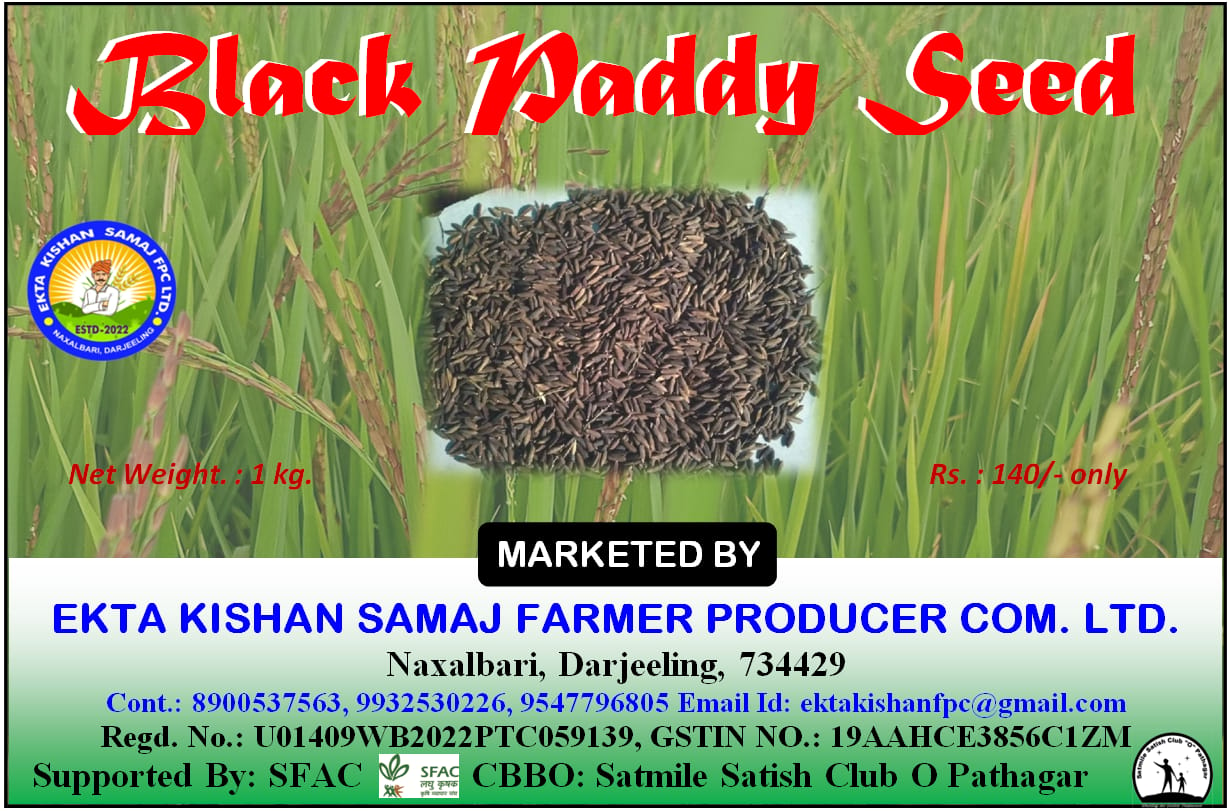 BLACK PADDY SEED