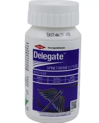 DELEGATE