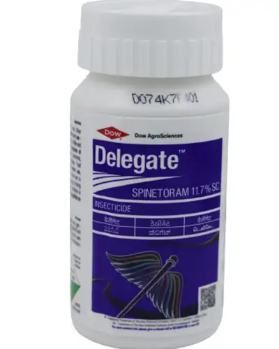 DELEGATE