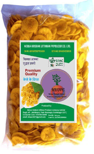 Banana Chips - Healthy Snacks (250 grams)