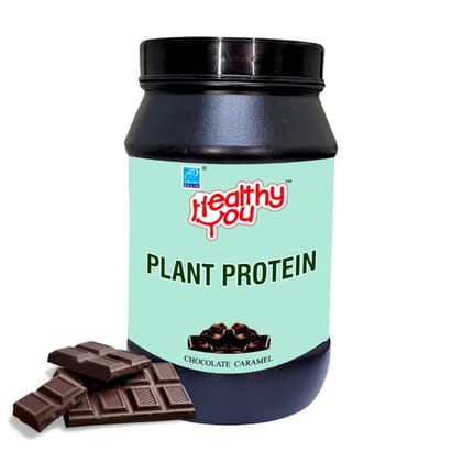 Healthy You Plant Based Protein Powder | Pea, Brown Rice & Soya Isolate Protein | 25g Protein per Scoop | Builds Lean Muscles | For Everyday Fitness