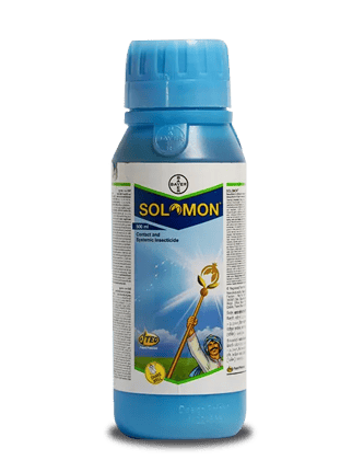 SOLOMON INSECTICIDE