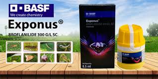 Exponus Insecticide