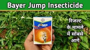 Bayer Jump WG Insecticide