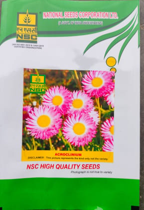 NSC Acrolinium Flower Seed -5 gm packet