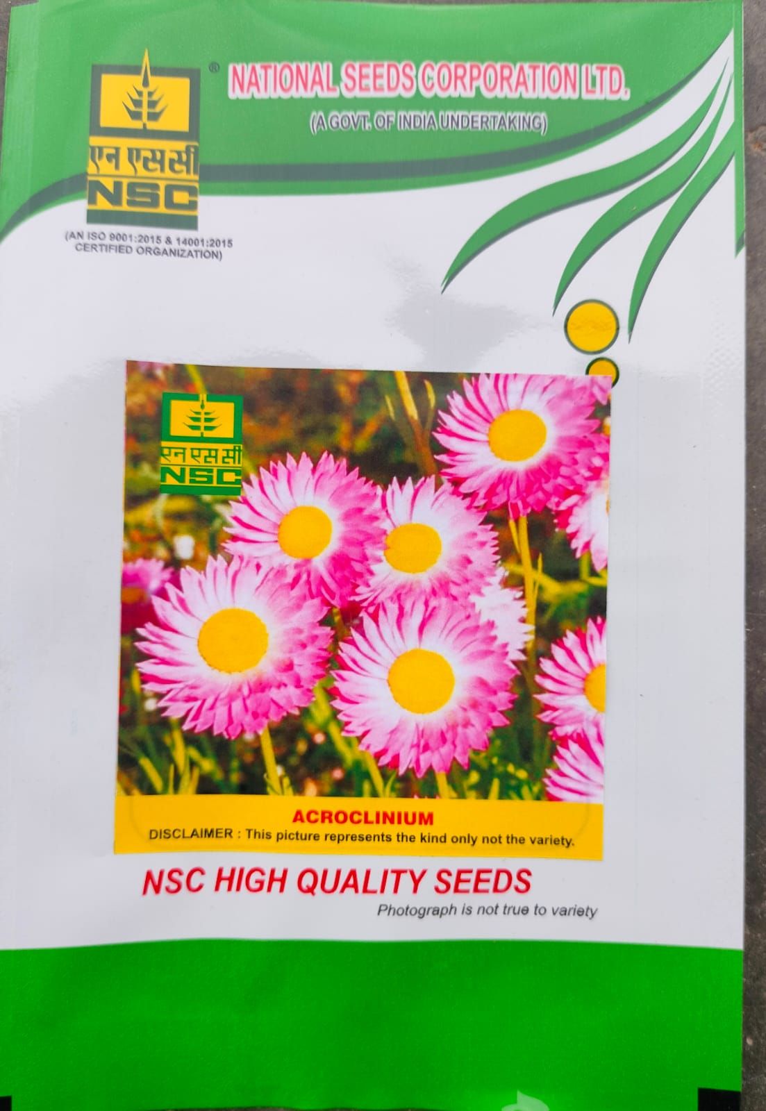 NSC Acrolinium Flower Seed -2 gm packet