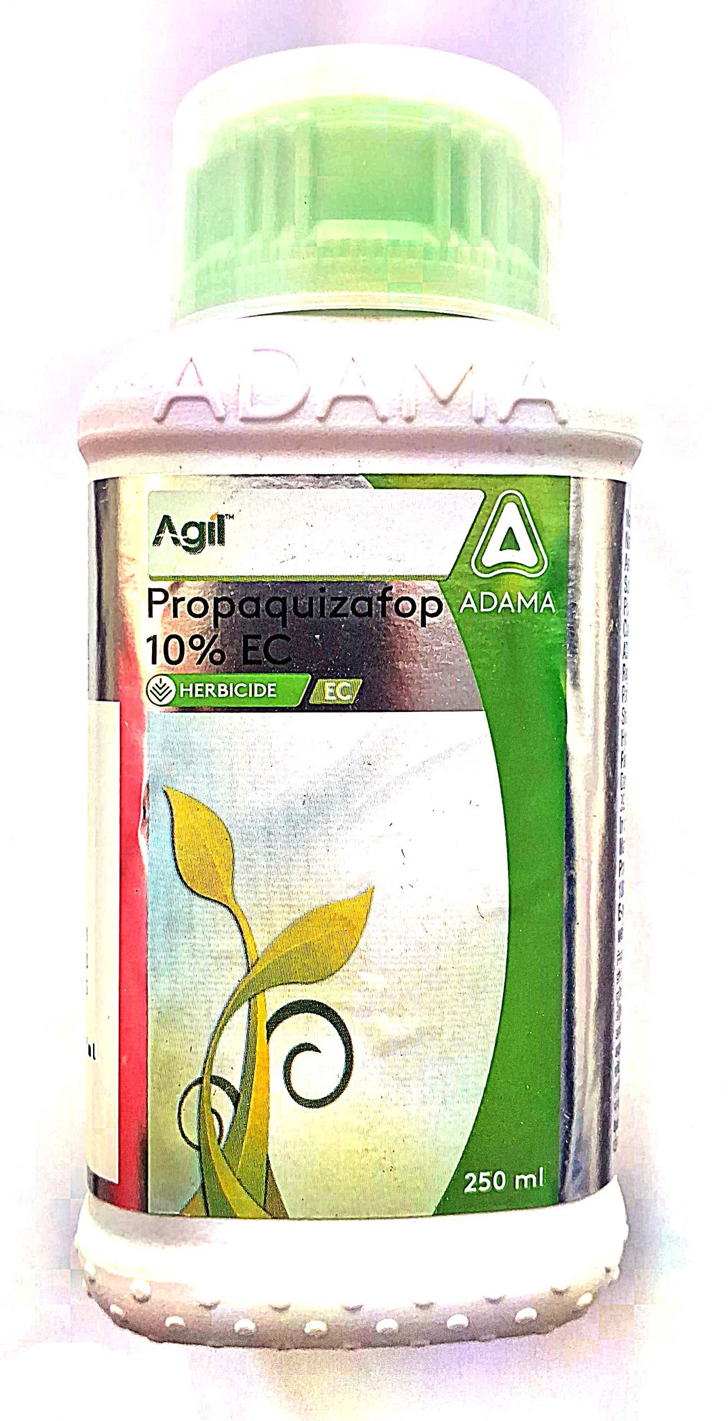 Agil