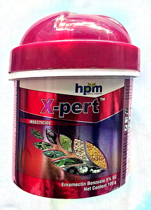 X-pert