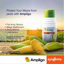 Ampligo Insecticide