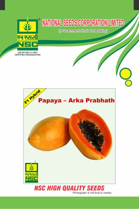 NSC Hybrid Papaya/Arka Prabhath, TL 1gm