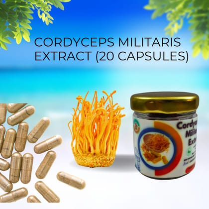 Cordyceps Militaris Extract