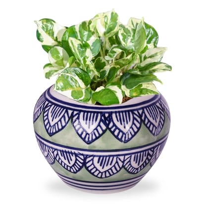 Ceramic Plant Pot