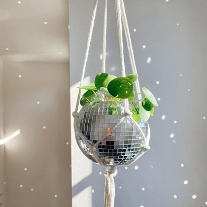 Hanging Disco Ball Glass Planter