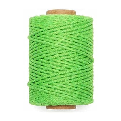 ecofynd Single String Light Green Color Jute Cord