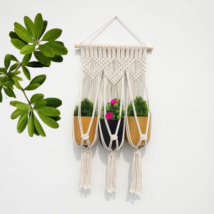 Macrame Cotton Plant Hanger