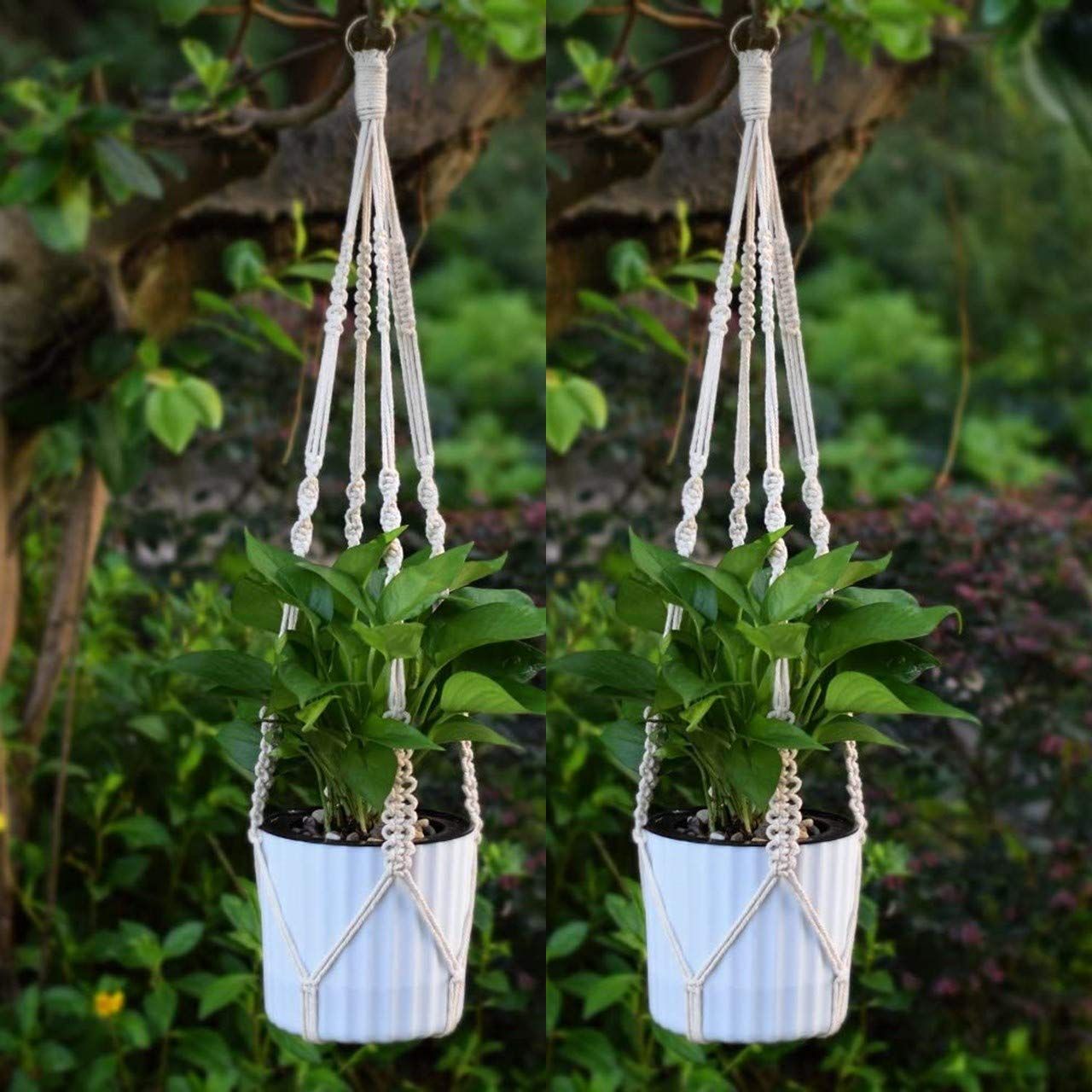 Macrame Plant Hanger (Set of 2)