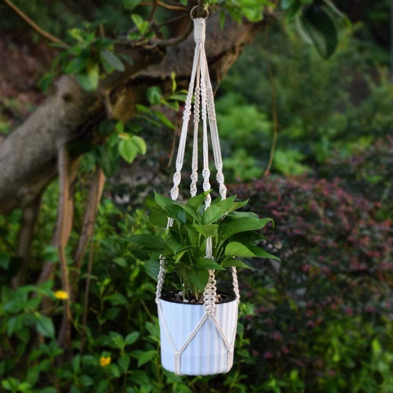 Macrame Plant Hanger