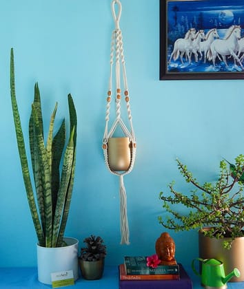 Macrame Plant Hanger with Metal Pot