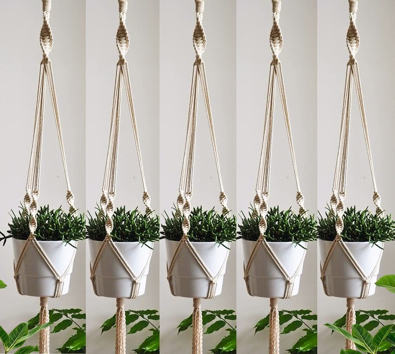 Minimalist Macrame Plant Hanger (Set of 5)